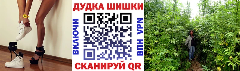 Купить наркотики сайты Сухиничи КОКАИН  ТГК  МАРИХУАНА  Галлюциногенные грибы  Гашиш  A PVP 