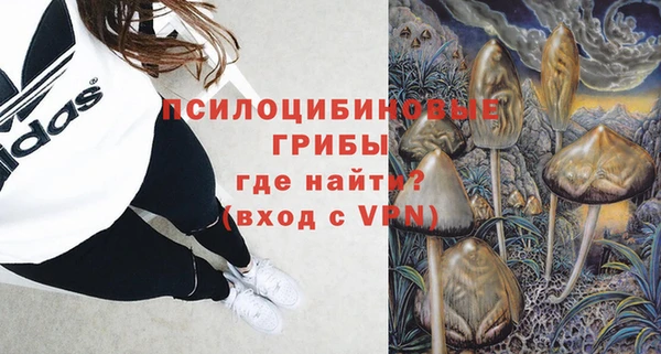 дживик Алзамай