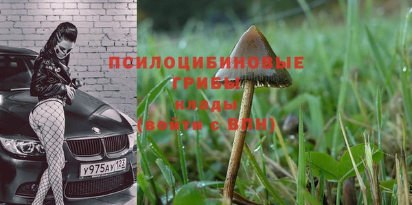 дживик Алзамай